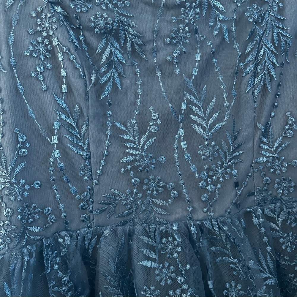 Audrey Parks x Francesca’s Blue Embroidered Tulle Mini Dress – Size M NWT - Picture 3 of 6